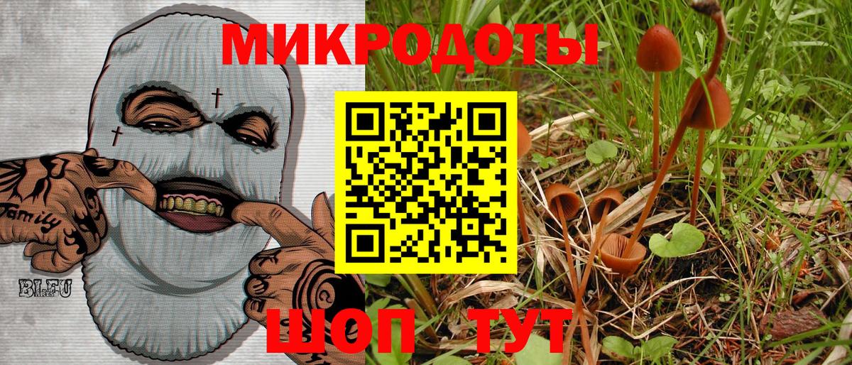 Мегион  Псилоцибиновые грибы Psilocybe  купить  сайты  Вход с VPN 