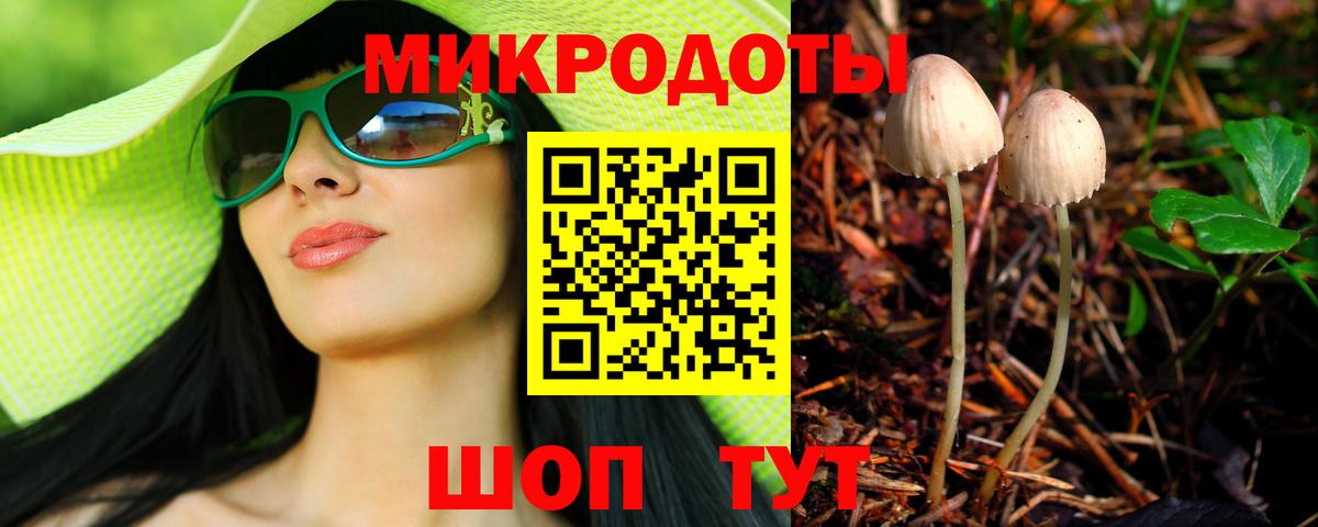 Псилоцибиновые грибы Psilocybine cubensis Мегион